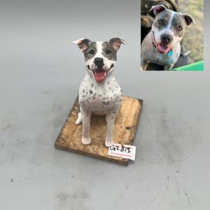 Personalized Custom Dog Wedding Cake Topper , Pet Cake Topper，Pets Birthday，Cat Cake Topper , Anniversary Pet，Dog Figurines，Dogs Birthday