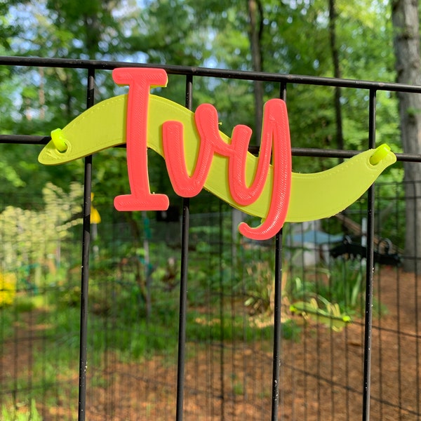 Pea Pod Personalized Pet Crate Tag