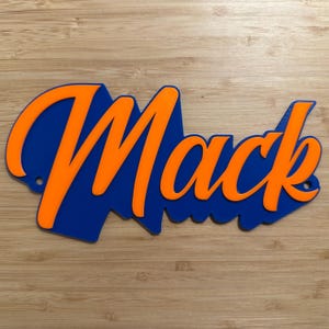 Etiqueta personalizada para jaula de mascotas: Letrero con el nombre de la perrera "Mr. Brightside"