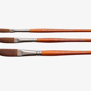 Könnte beinhalten: Drei Pro Arte 'X' Sword Series Pinsel mit braunen Holzgriffen und silbernen Zwingen. Die Pinsel sind mit 'Small', 'Med' und 'Large' gekennzeichnet.