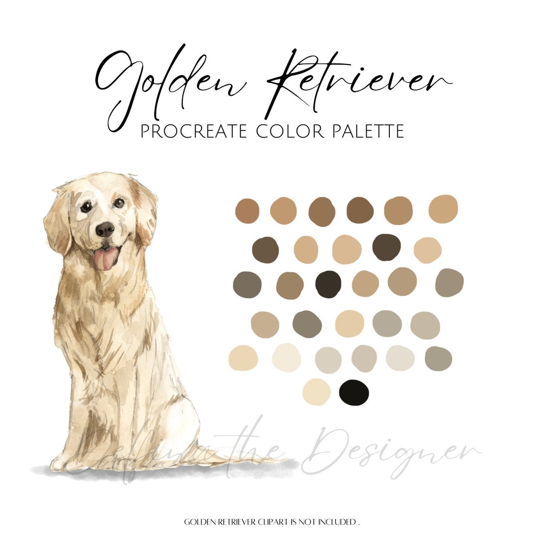 Golden Retriever Procreate Color Palette Color Swatches Etsy