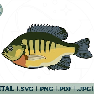 Freshwater Bluegill - Illustration - Layered SVG