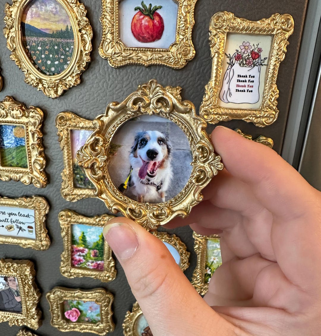 Personalized Photo Fridge Magnets: Ornate Gold Frame, Custom Keepsake ...