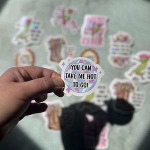 You Can Take Me Hot To Go Sticker: Handmade Waterproof Glossy Art