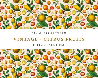 vintage Agrumes - Oranges et Citrons Botanical Seamless Pattern - Digital Paper Pack - Wallpaper / Fabric / Spoonflower