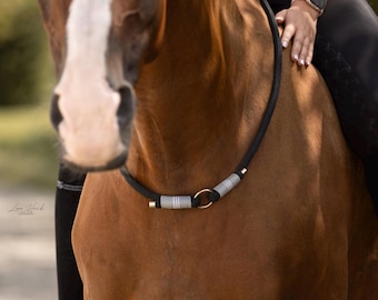May include: Close-up of a brown horse wearing a black rope halter with silver accents. The halter has a silver ring in the center.