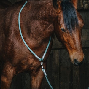 Neck ring for horses | Individual | Made to measure