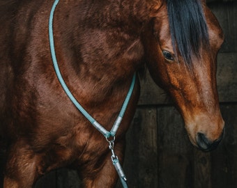 Halsring für Pferde | Individuell | Auf Maß