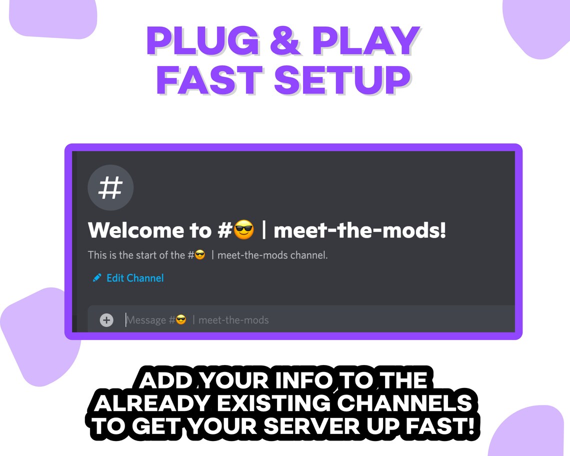 Twitch Streamer Discord Server Template INSTANT DOWNLOAD Organized