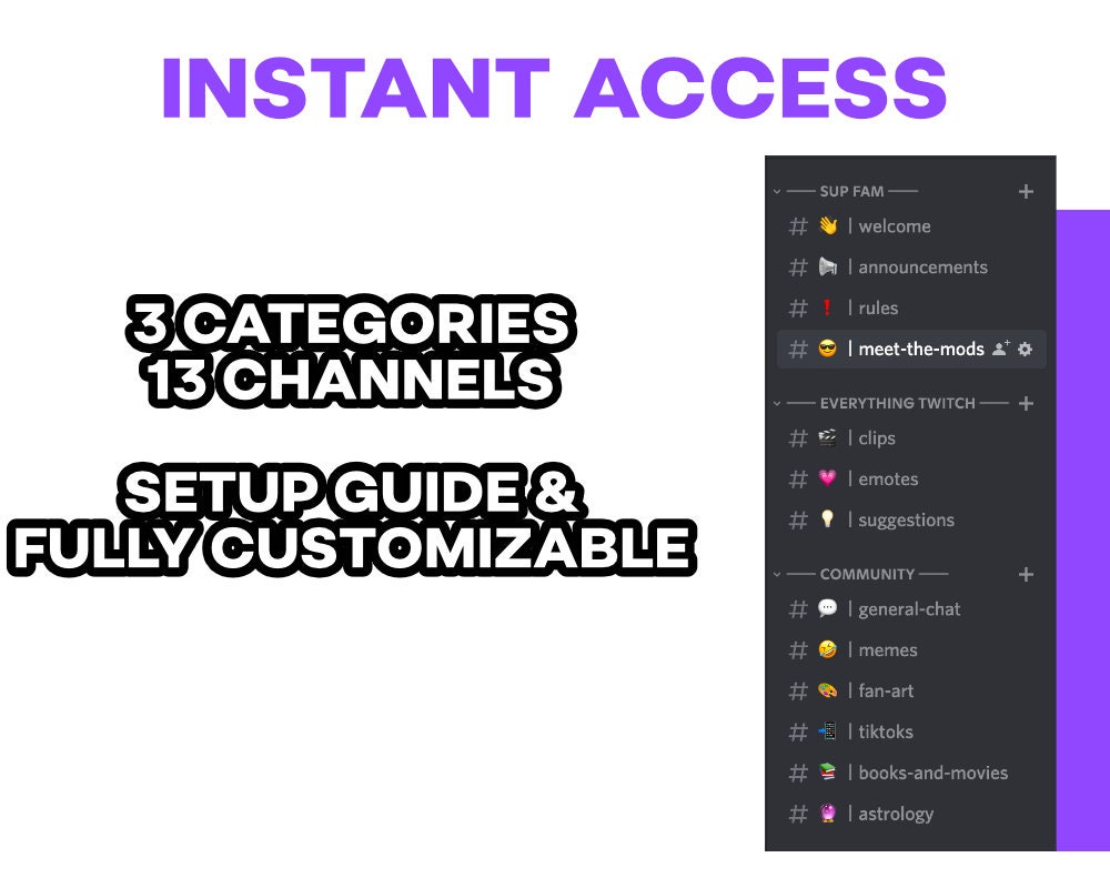 Twitch Streamer Discord Server Template INSTANT DOWNLOAD Organized