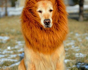 puppy lion mane costume