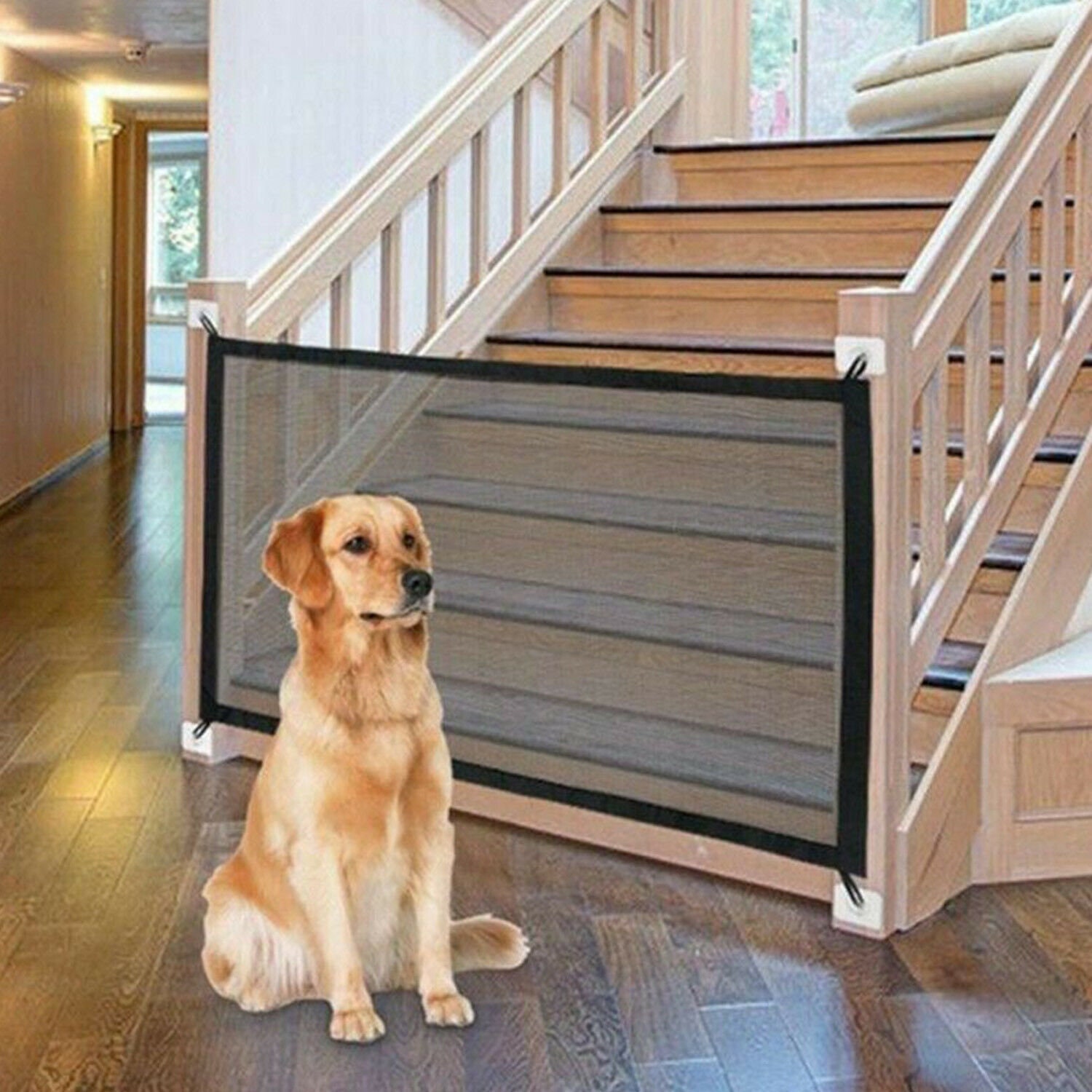 acrylic dog gates