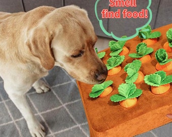 Carrot Plush Toy for Pets, Interactive Carrot Chew Toy for Dogs