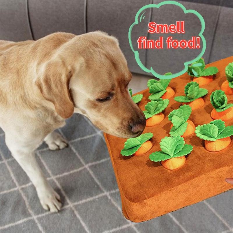 Dog Toy Vegetable Shape – Easy Spot
