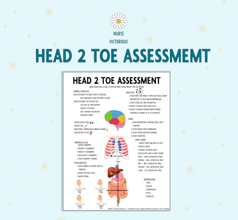 Head-to-toe Assessment Guide | Assessment Cheat Sheet| Nursing Notes ...