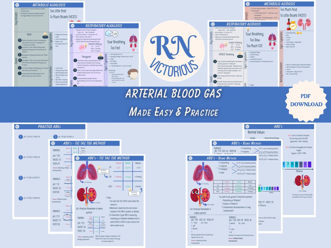 Arterial Blood Gas Cheat Sheet Abgs Nursing Notes ABG Etsy