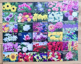 Memory Card Game Flowers For Kids & Adults 30 Sets / 60 Cards Matching Game.