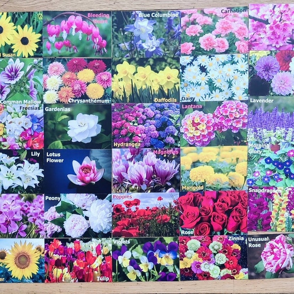 Memory Card Game Flowers For Kids & Adults 30 Sets / 60 Cards Matching Game.