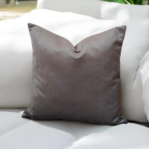 Brown Velvet  Pillow Cover,Modern Pillows,Home Decor