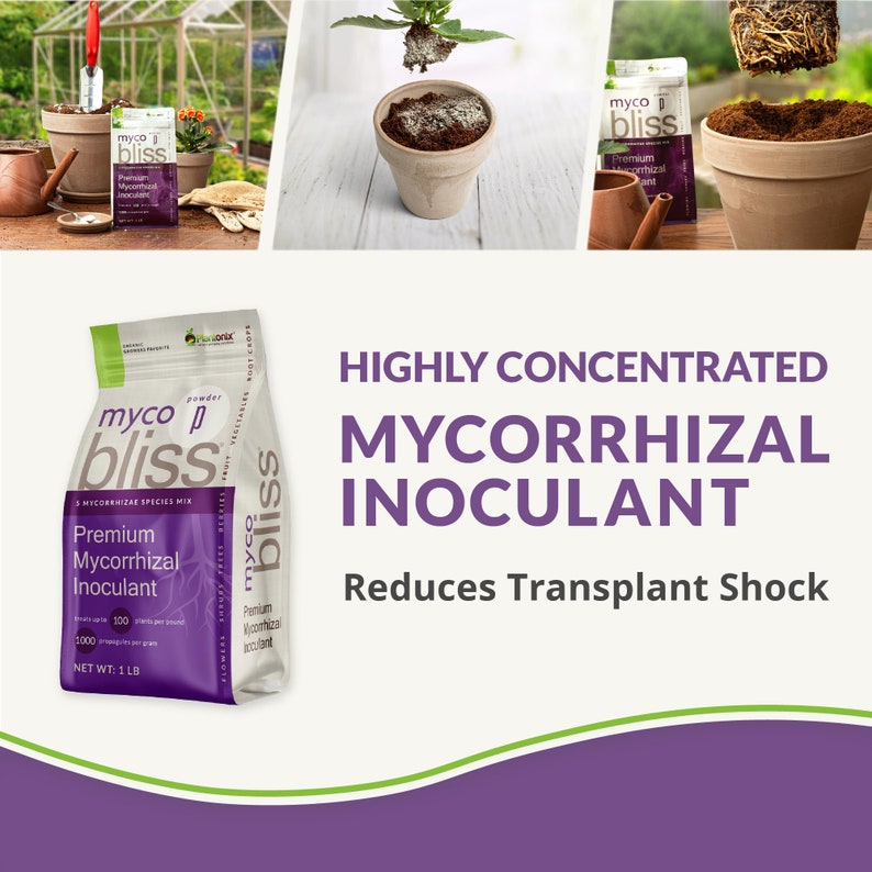 Myco Bliss Premium Mycorrhizal Soil Inoculant image 2