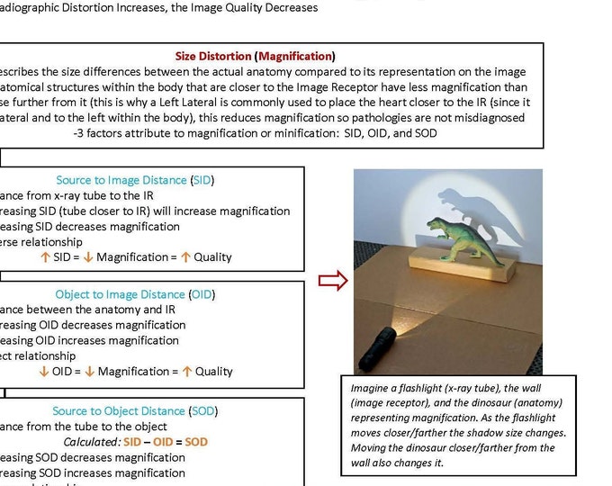 The Size and Shape Distortion Section