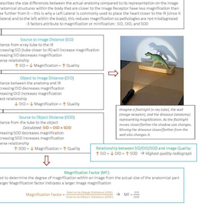 Puede incluir: Diagrama que ilustra la distorsi&oacute;n de tama&ntilde;o y forma en radiograf&iacute;a. Un juguete de dinosaurio proyecta una sombra, demostrando los principios de magnificaci&oacute;n. El texto explica los factores SID, OID y SOD que afectan la calidad de la imagen. Una linterna representa el tubo de rayos X.