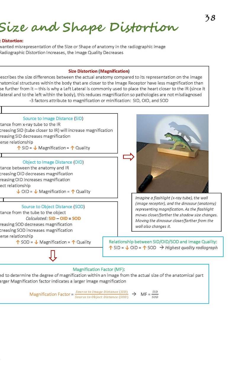 Puede incluir: Diagrama que ilustra la distorsi&oacute;n de tama&ntilde;o y forma en radiograf&iacute;a. Un juguete de dinosaurio proyecta una sombra, demostrando los principios de magnificaci&oacute;n. El texto explica los factores SID, OID y SOD que afectan la calidad de la imagen. Una linterna representa el tubo de rayos X.