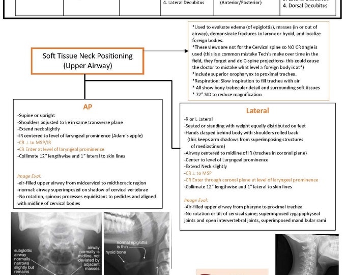 Thorax and Abdomen Positioning and Procedures