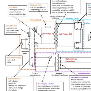 The X-ray Circuit Section