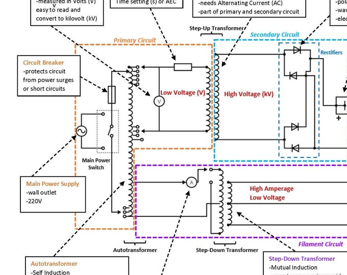 The X-ray Circuit Section