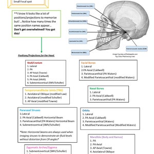 Skull Positioning and Procedures