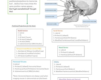 Skull Positioning and Procedures