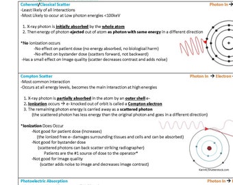 The X-ray Interactions Section