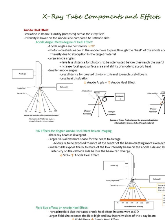 VCS 242 Unit 1 Notes Diagram | Quizlet