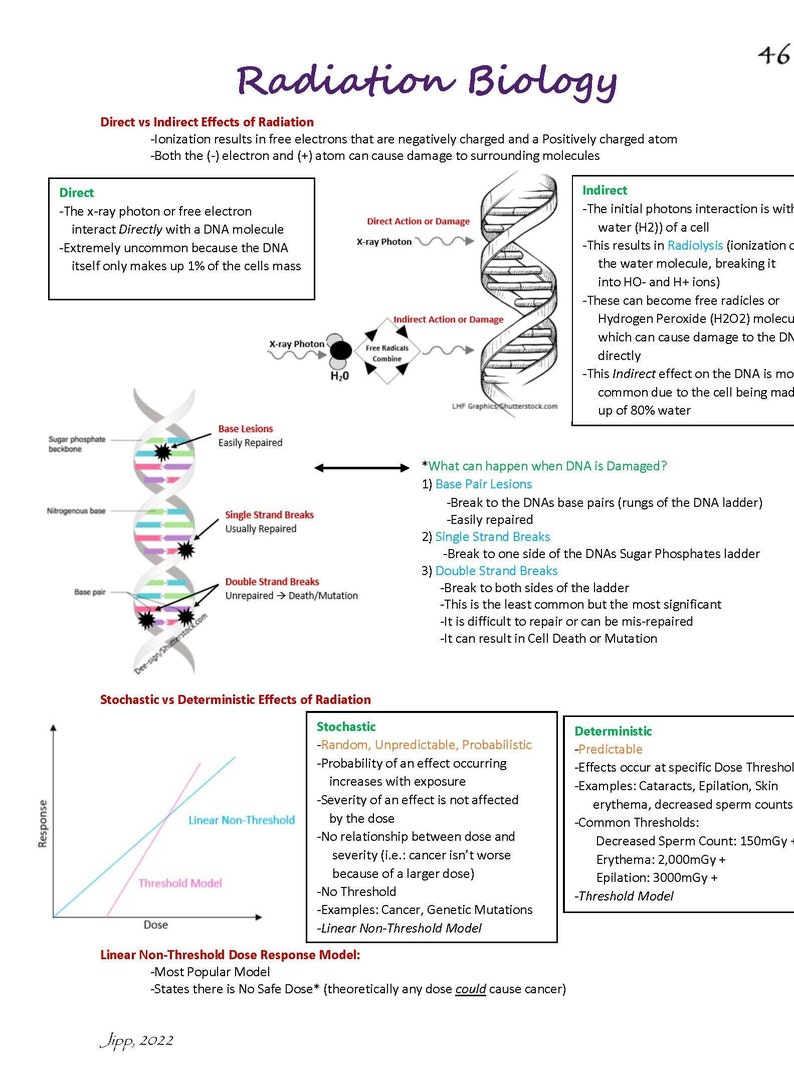 Puede incluir: Un diagrama cient&iacute;fico titulado "Radiation Biology" con texto e ilustraciones. Explica los efectos directos e indirectos de la radiaci&oacute;n en el ADN, incluidas las lesiones de pares de bases, las roturas de una y doble hebra. Tambi&eacute;n muestra los efectos estoc&aacute;sticos vs. deterministas.