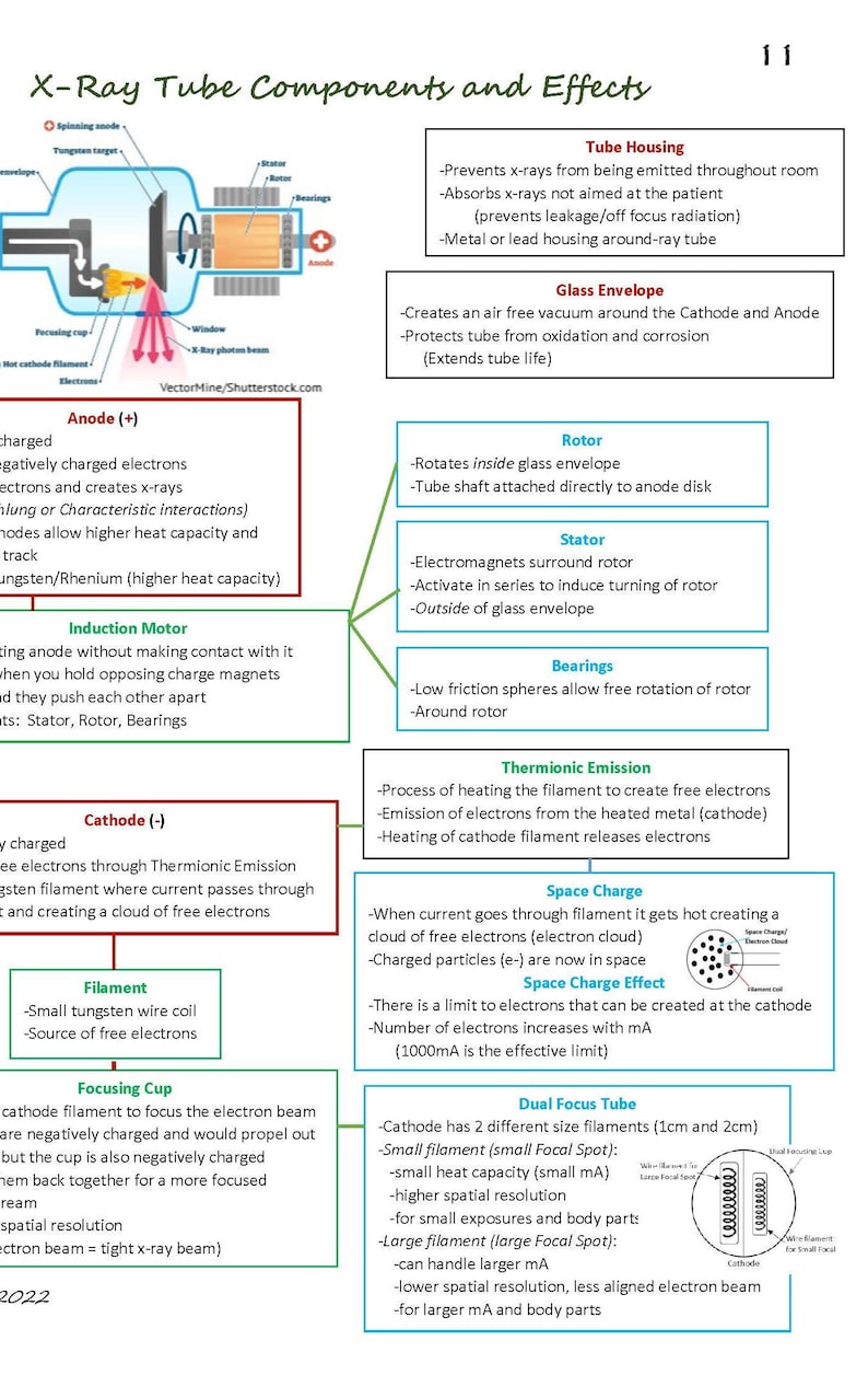 Puede incluir: Diagrama de un tubo de rayos X con componentes y efectos etiquetados. Incluye la carcasa del tubo, la envoltura de vidrio, el &aacute;nodo, el c&aacute;todo, el rotor, el estator y el filamento. El texto explica la funci&oacute;n de cada parte y el proceso de producci&oacute;n de rayos X.