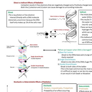 May include: Diagram illustrating the direct and indirect effects of radiation on DNA. The diagram shows how radiation can cause damage to the DNA molecule, leading to base lesions, single strand breaks, and double strand breaks. The diagram also includes a description of the stochastic and deterministic effects of radiation.