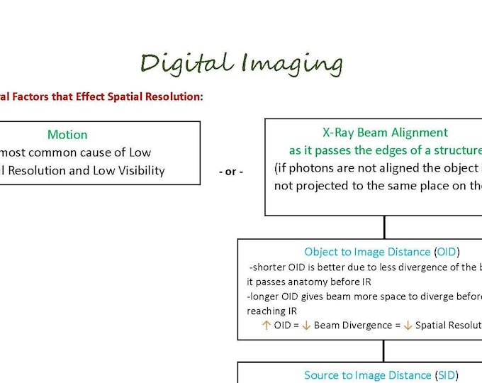 The Digital Imaging Section