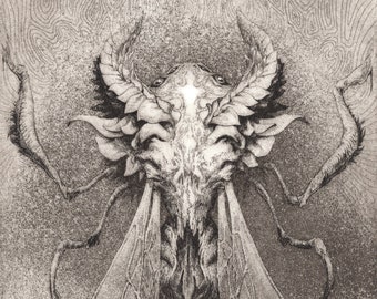 Caelicervus Insect Etching Print