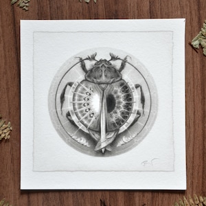 Stampa artistica giclée con scarabeo dell’equilibrio