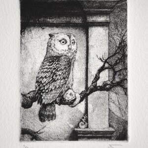 Owlet Etching Print