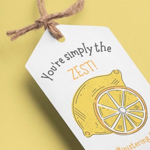 LDS Ministering Sister Lemonade Tag LDS Relief Society Ministering Printable Personalized Gift Lemon Pun image 3