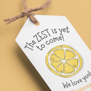 LDS Ministering Sister Lemonade Tag LDS Relief Society Ministering Printable Personalized Gift Lemon Pun image 2