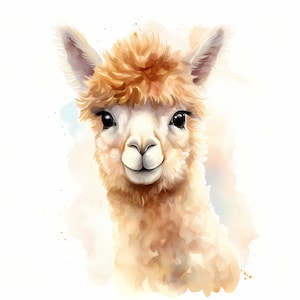 Clipart alpaca, mooie alpacaafbeeldingen, 10 aquarelillustraties, afdrukbare JPG's, Instant Download, Commercieel gebruik, Papercraft