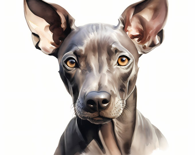 Xoloitzcuintle Dog Clipart, Puppy Dog Images, 10 Watercolor Clip Art, Printable JPGs, Instant Download, Commercial Use, Paper craft