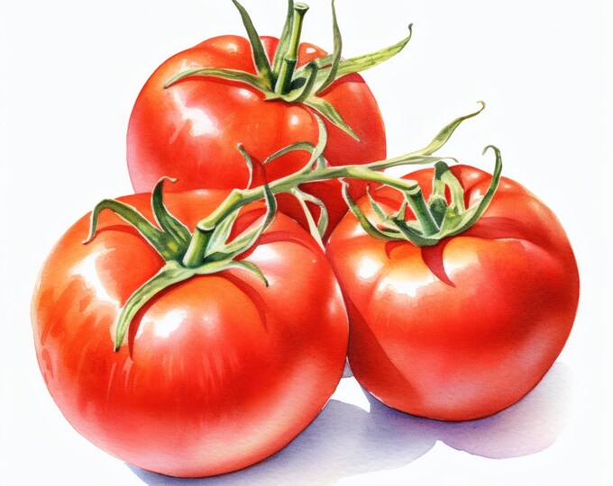 Tomato Clipart, Fresh Vegetables Images, 10 Watercolor Clip Art, Printable JPGs, Instant Download, Commercial Use, Paper craft