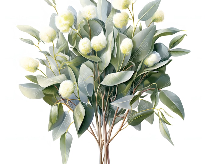 Eucalyptus Bouquet Clipart, Eucalyptus Flowers Images, 10 Watercolor Clip Art, Printable JPGs, Instant Download, Commercial Use, Paper craft