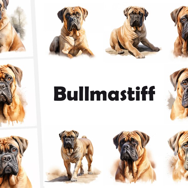 10 Bullmastiff, English Mastiff Dog JPG, Watercolor Clipart, High Quality, Digital Download, High Resolution, Commercial Use