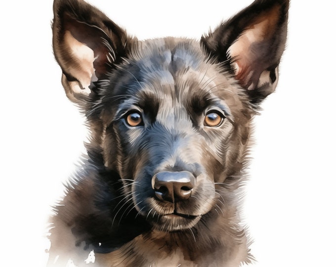 Dutch Shepherd Clipart, Puppy Dog Images, 10 Watercolor Clip Art, Printable JPGs, Instant Download, Commercial Use, Paper craft
