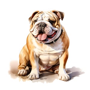 Bulldog Clipart, Bull Dog Images, 10 Watercolor Clip Art, Printable JPGs, Instant Download, Commercial Use, Paper craft